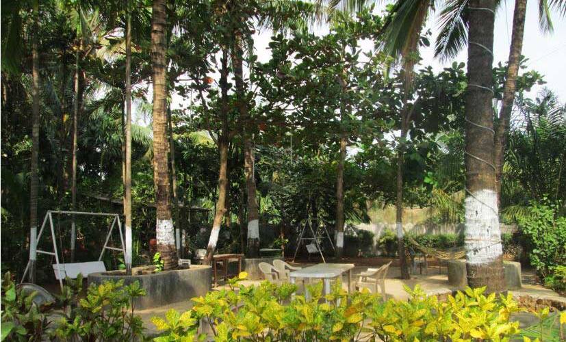 Exotic Gems, Goa 3
